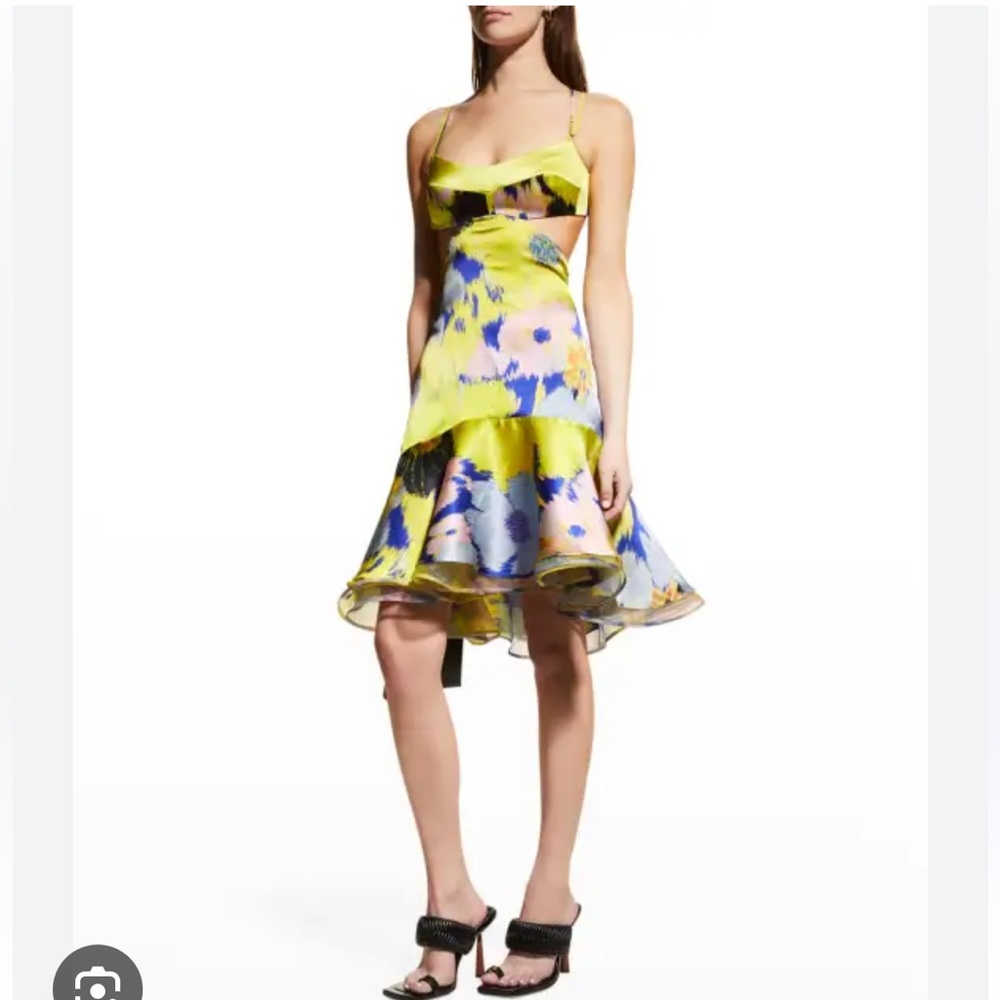 SILVIA TCHERASSI ANALISSA FLORAL-PRINT CUTOUT FIT-&-FLARE DRESS